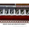 Spike a parete in acciaio galvanizzato/uccello anti-climb